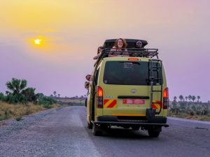 4-days-murchison-falls-chimpanzee-safari