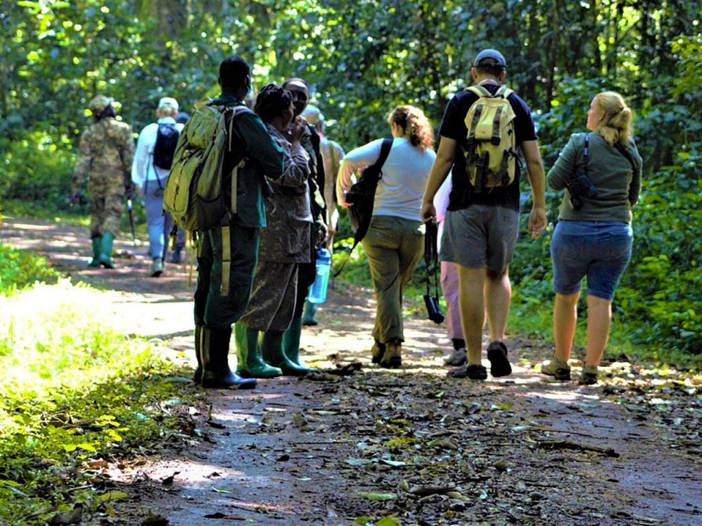 5-days-uganda-chimpanzee-gorilla-trekking-safari