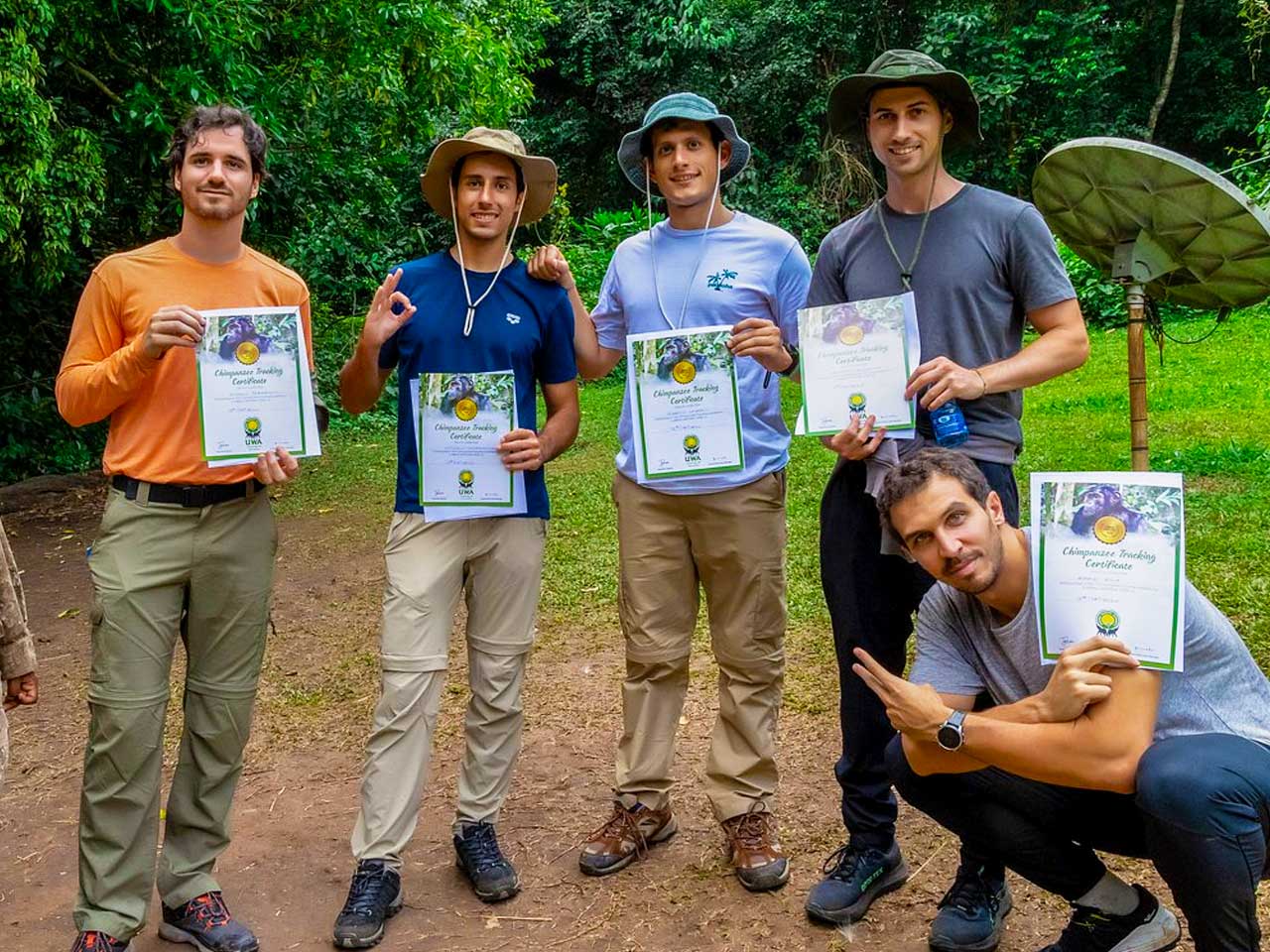 6-days-best-of-chimpanzee-safari