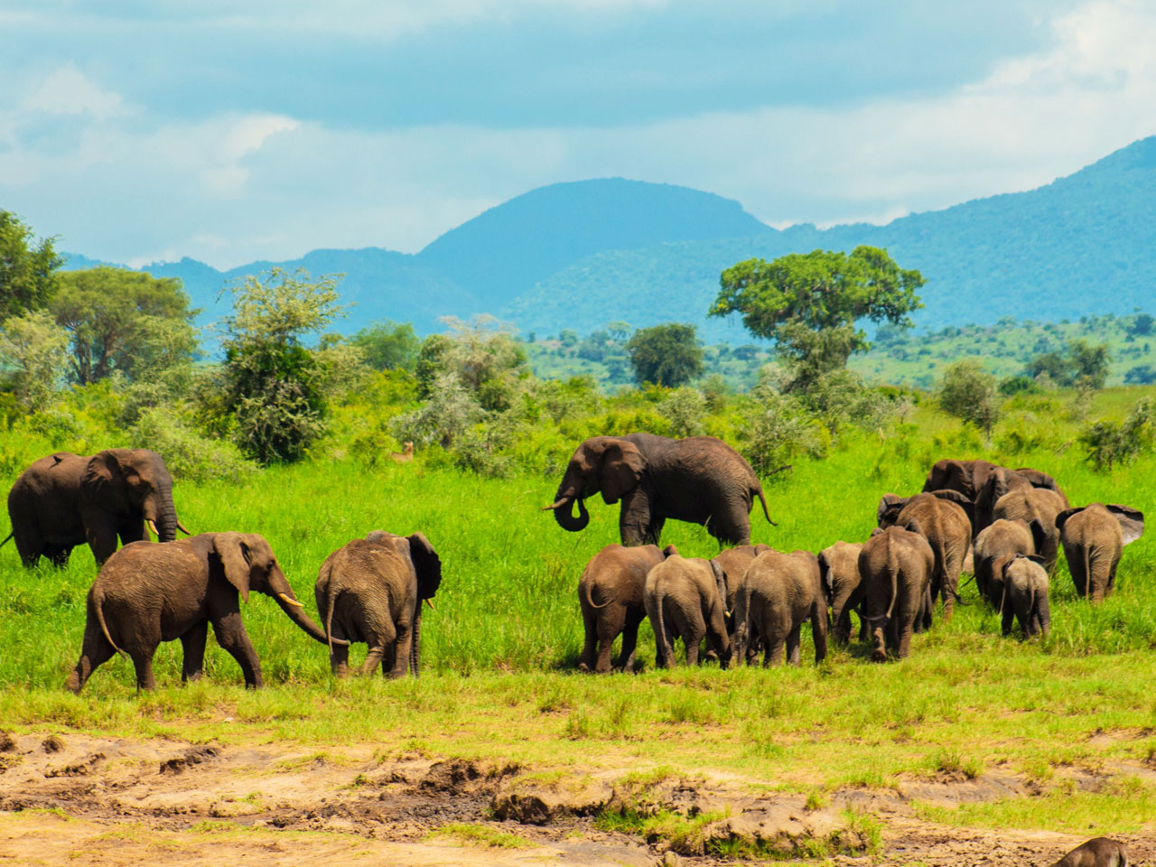 7-days-best-of-uganda-wildlife-safari