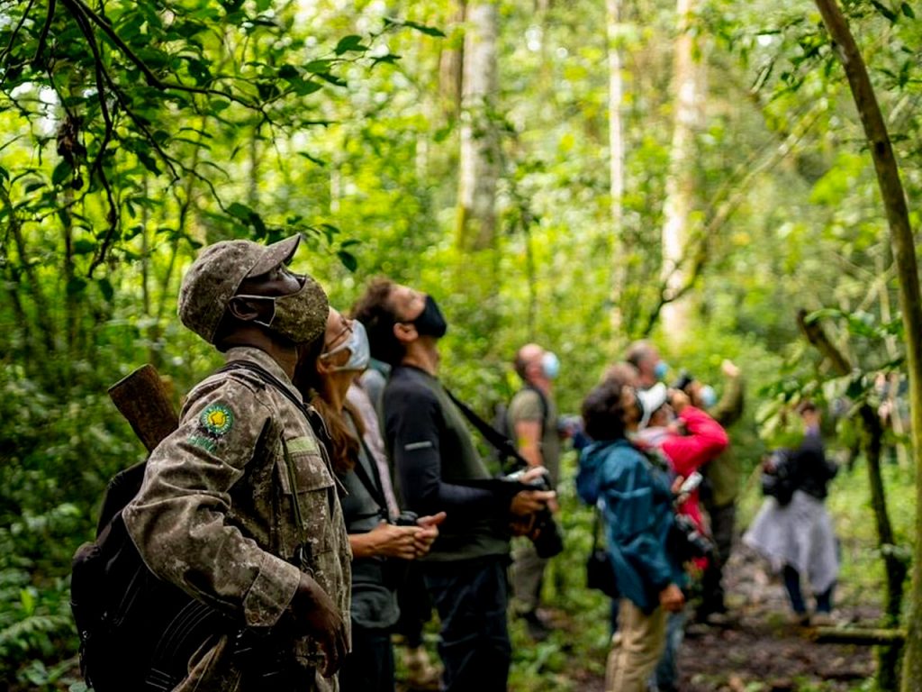 7-days-uganda-chimpanzee-safari