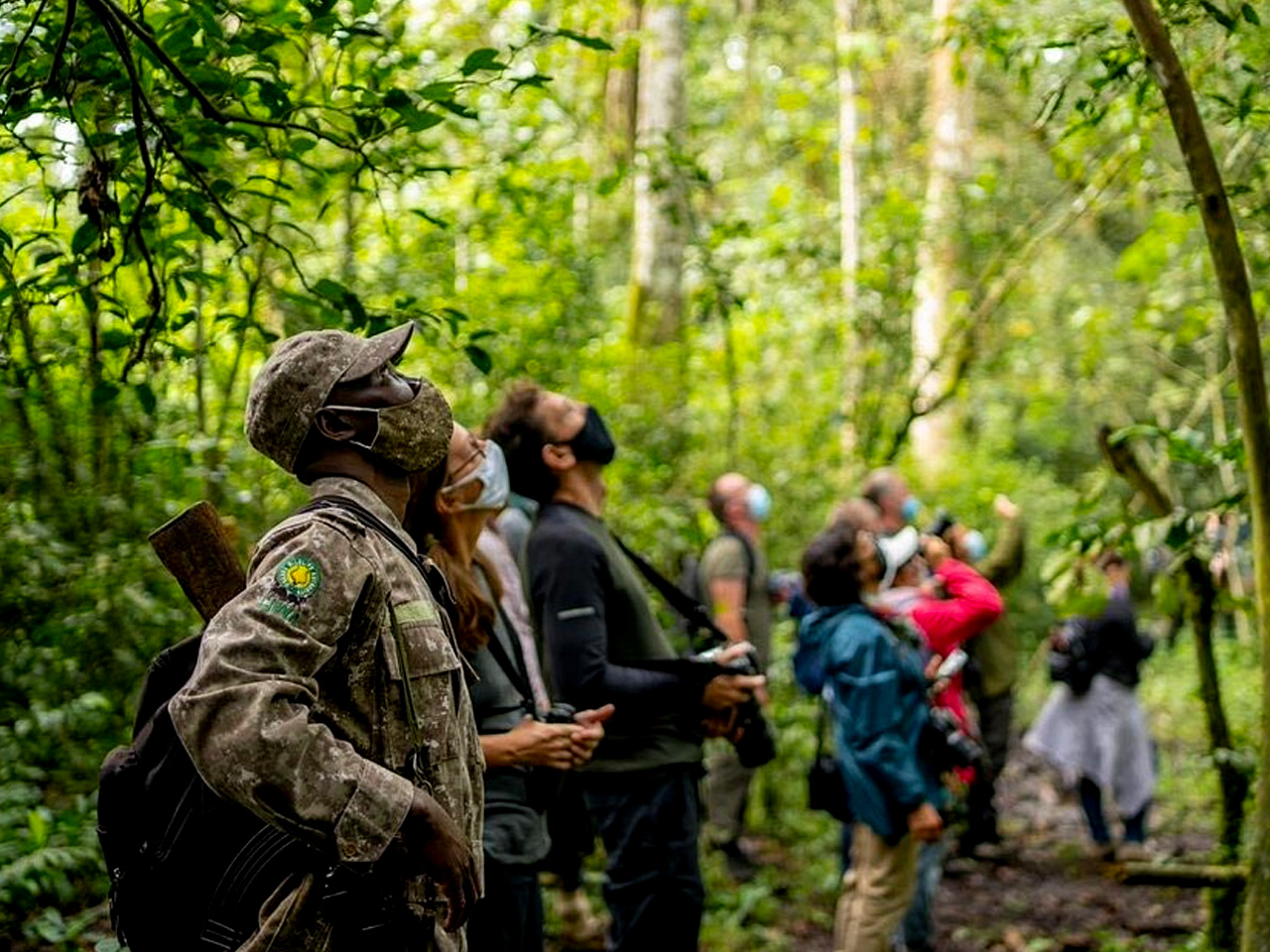 7-days-uganda-chimpanzee-safari