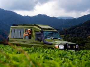 8-days-best-of-rwanda-safari