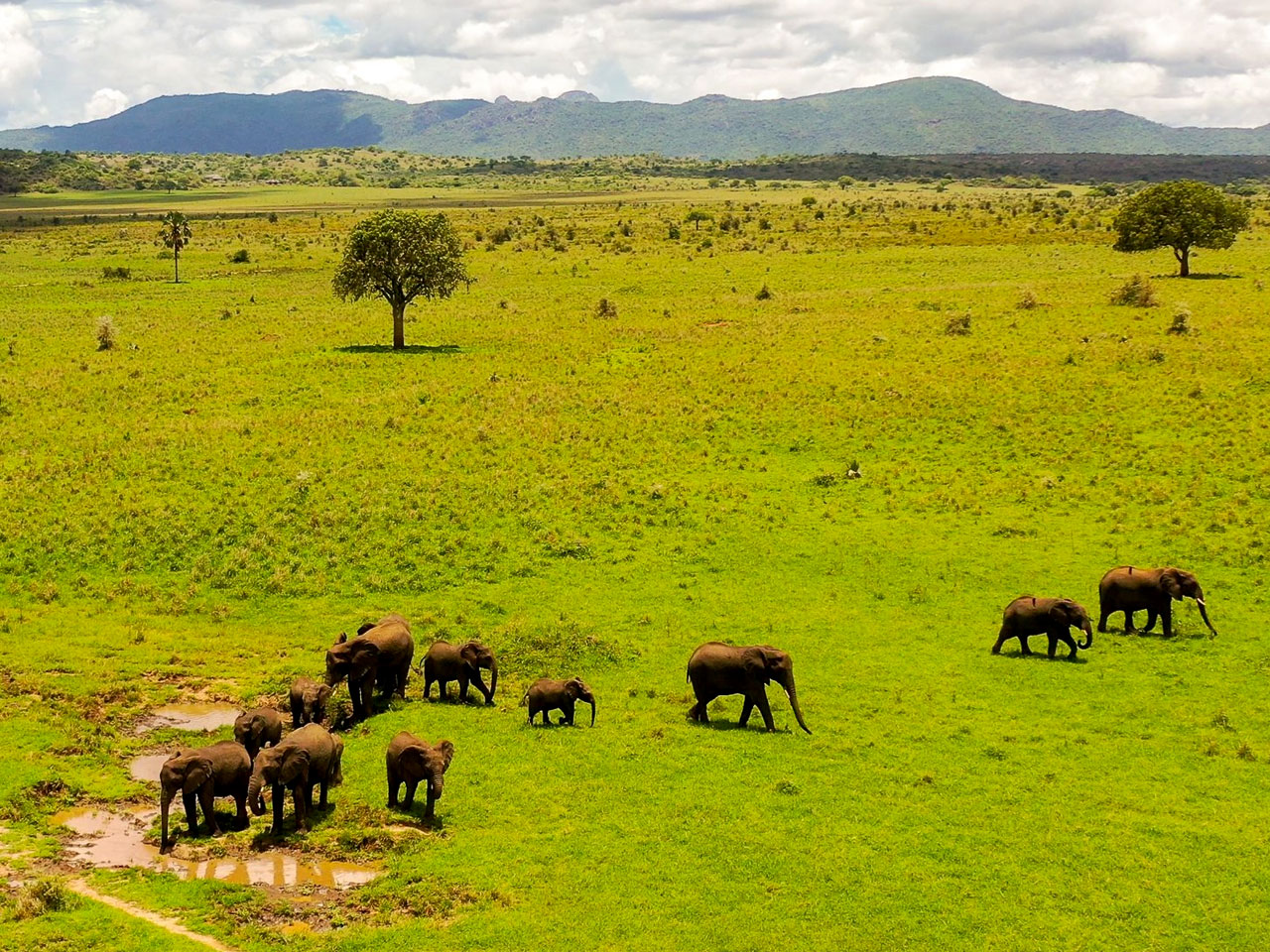 kidepo-valley-national-park
