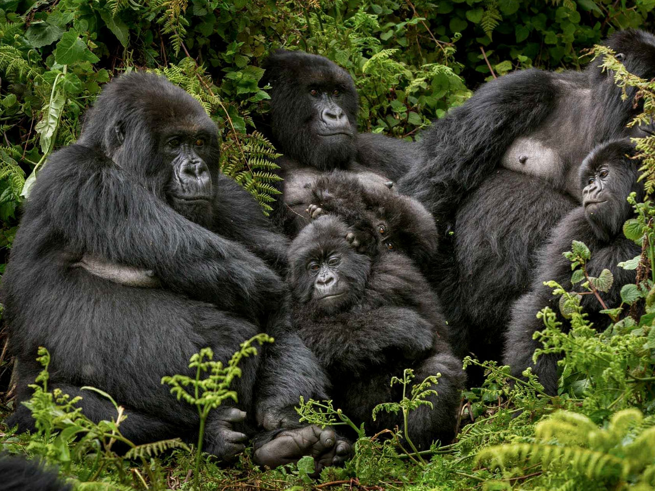 volcanoes-national-park